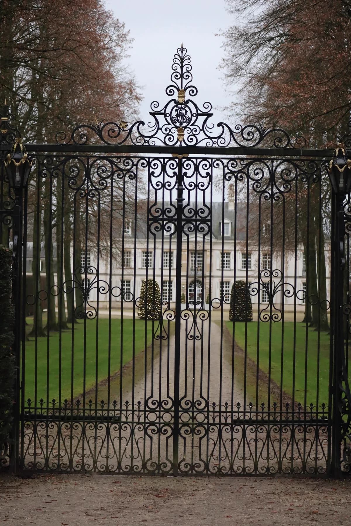 Ornamental iron driveway gate at a tree-lined entrance