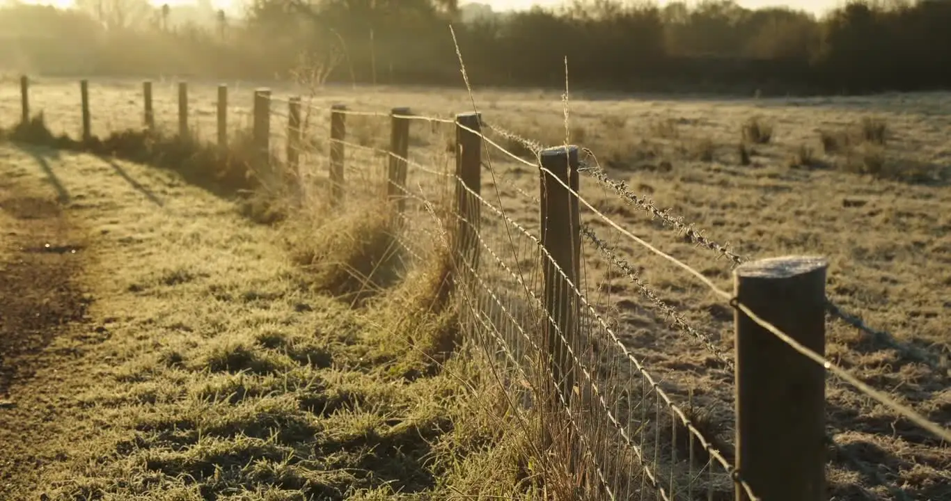 Fence line running through a North Texas pasture at golden hour