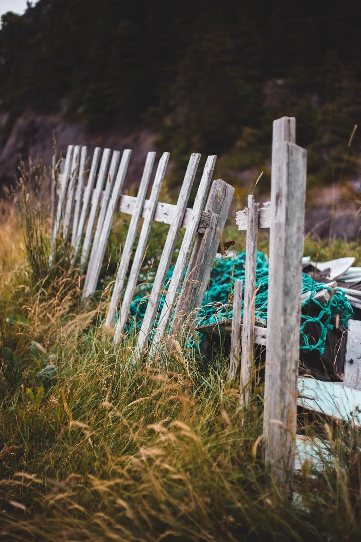 Leaning, weathered fence pickets in need of repair