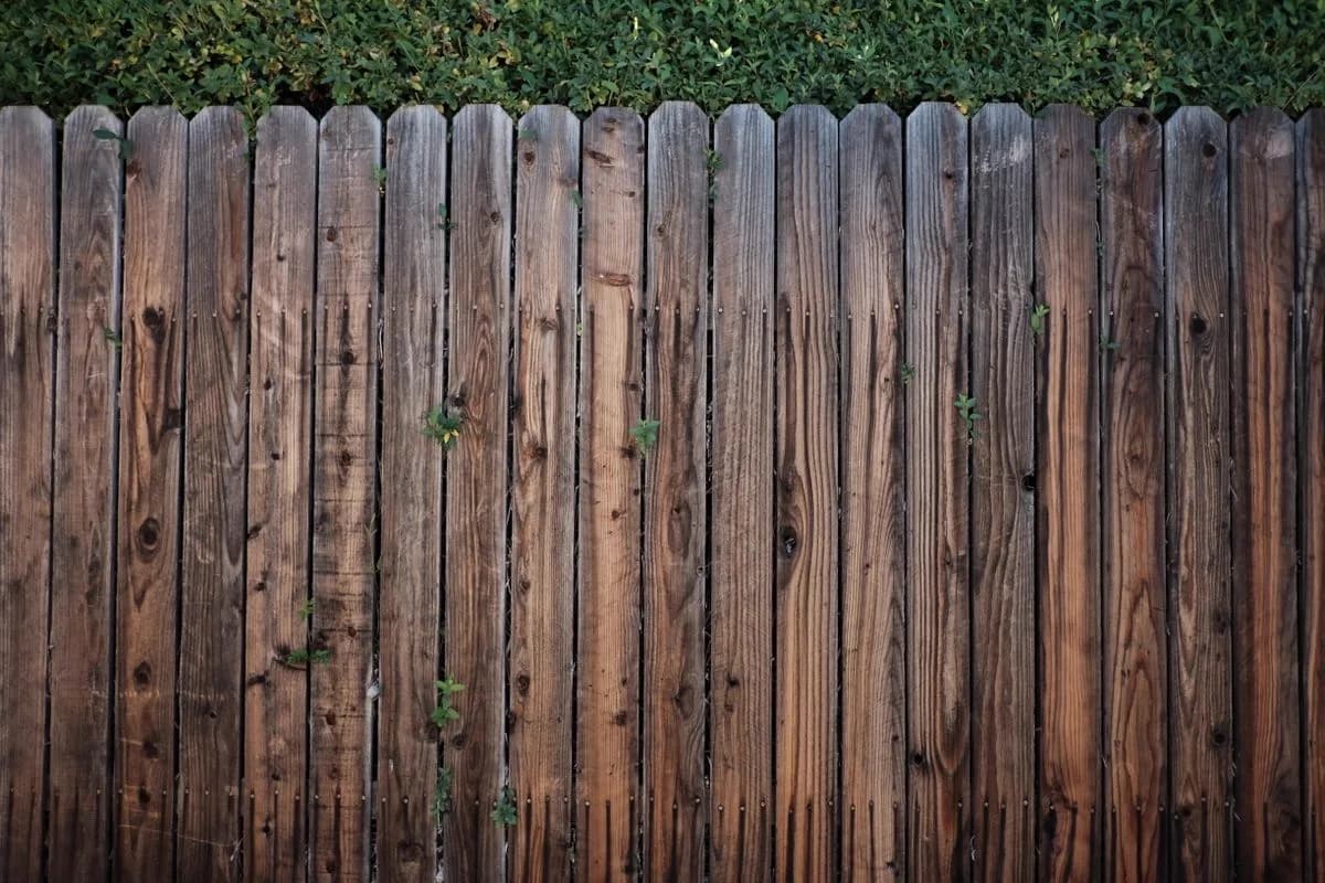 Wood privacy fence pickets with a hedge above